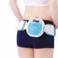 BENICE MINI BODY SLIMMING MASSAGER image 1