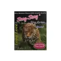 Simplex - Song Super Dotted Special Condoms 3 Pieces image 1