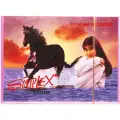 Simplex Stallion Contoured Ribbed & Dotted Condom - 3 Pieces image 1
