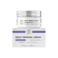 Skin Renewing Night Cream | Niacinamide, Peptide Complex, and Hyaluronic Acid Moisturizer for Face image 1